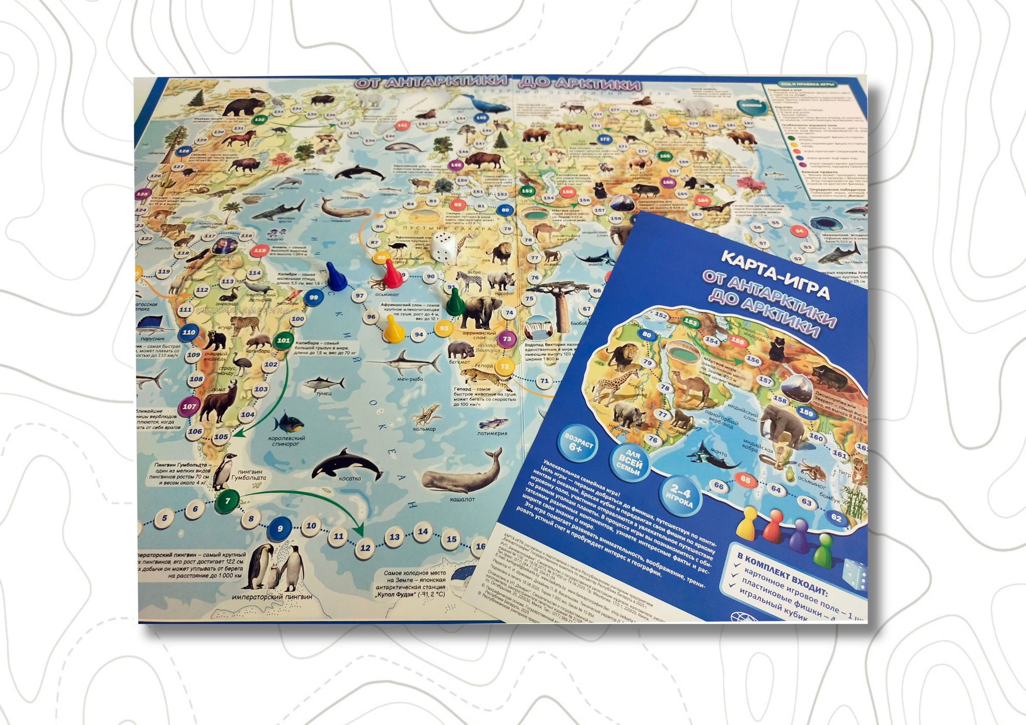 Новинка: карта-игра «От Антарктики до Арктики»!